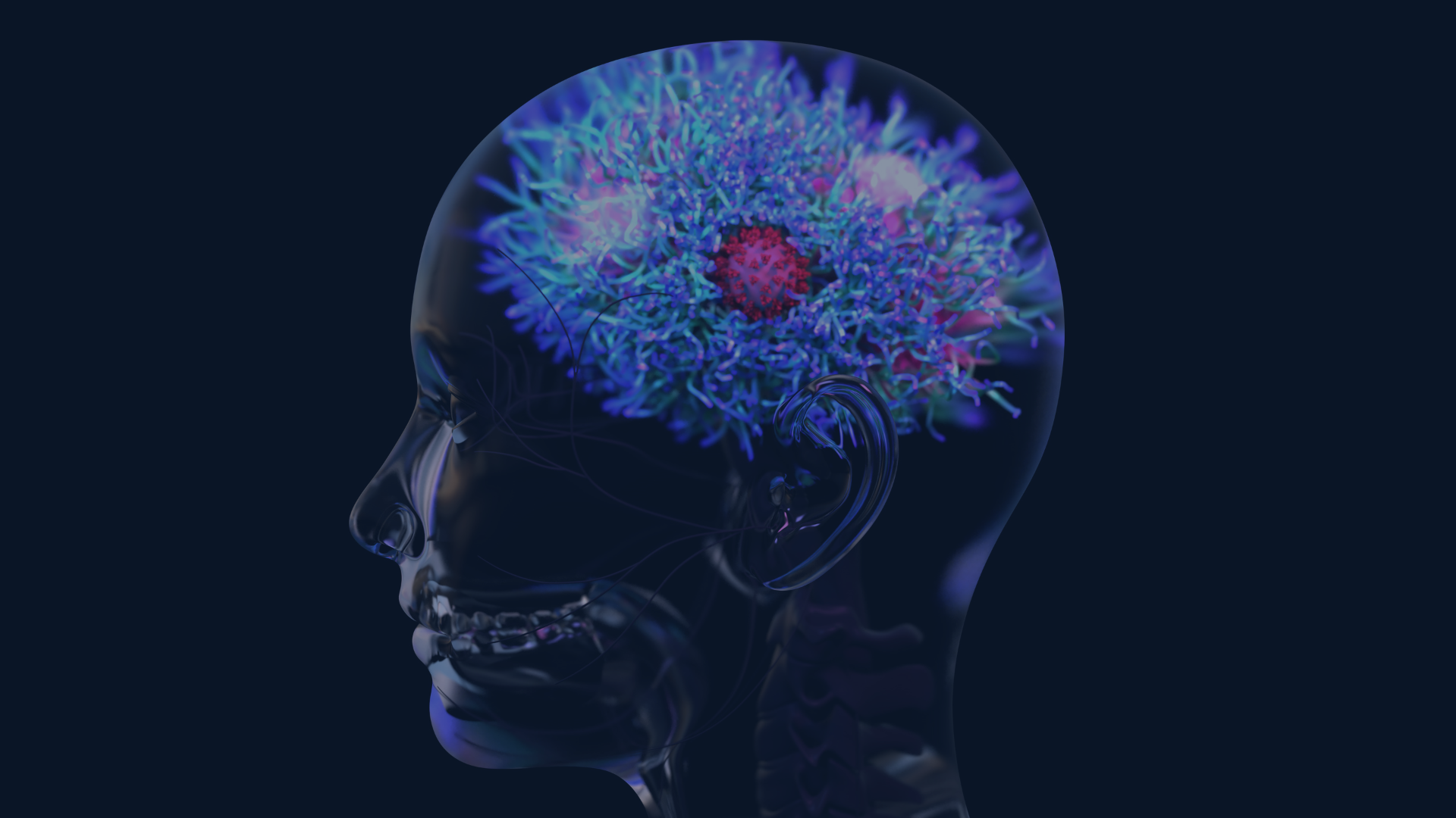 Fanciful image of a brain in a skull